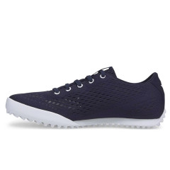Monolite fusion bleu