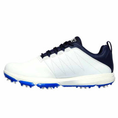 Go Golf Pro 4 CDG 2